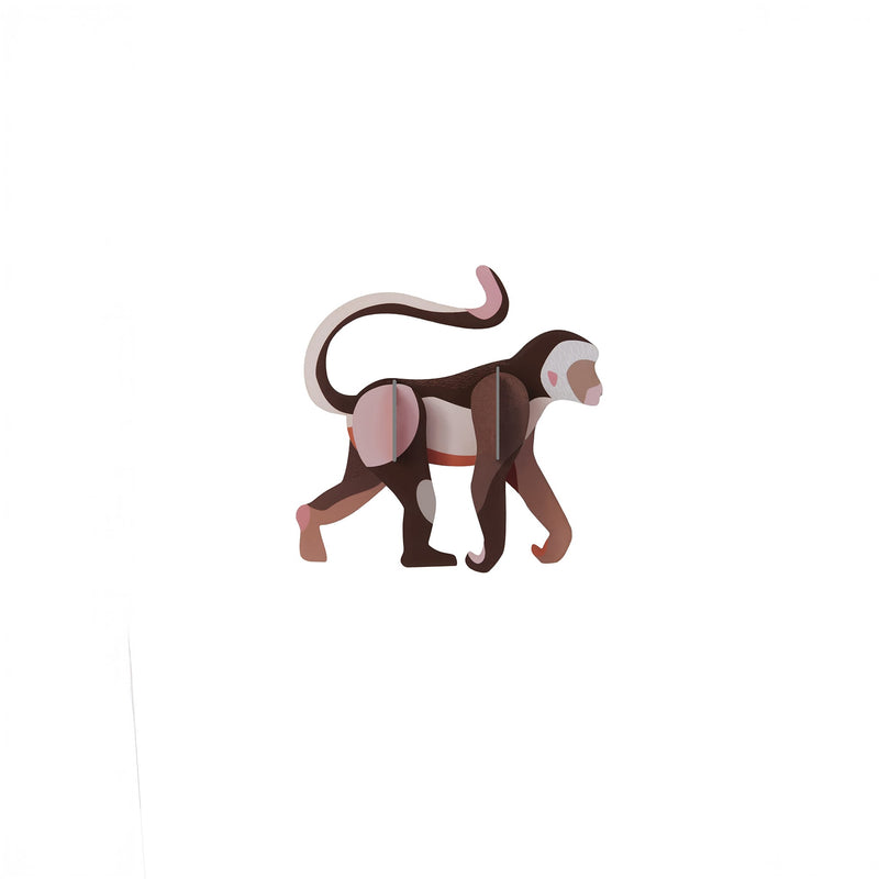 Monkey Wall Art