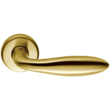 Mach Door Lever in Satin Gold by Colombo Design