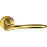 Madi Door Lever in Satin Gold by Colombo Design