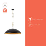 Matte Black 28inch Grant Pendant by Alora Lighting Light Source