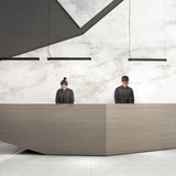 Matt Black Turner Linear Pendant by Seed Design in Reception Area