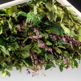 Meeting Silence Leaf Acoustic Suspension By OLEV Detailed View