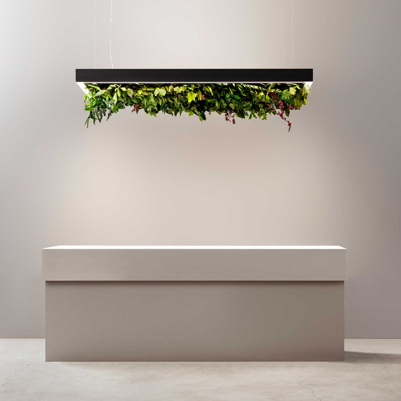 Meeting Silence Leaf Acoustic Suspension By OLEV Lifestyle View1