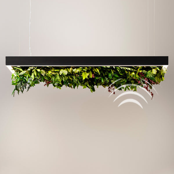 Meeting Silence Leaf Acoustic Suspension By OLEV