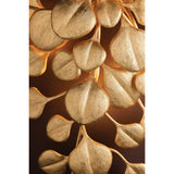 Menorca Wall Sconce by Corbett