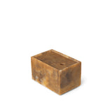 Mist Box - Medium / Sugar Kelp