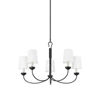 Montpelier Chandelier - 5-Light - Aged Iron by Hudson Valley
