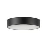 Musa Flush Mount — Flush Mount