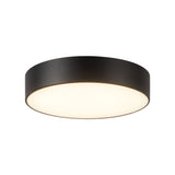 Musa Flush Mount — Flush Mount