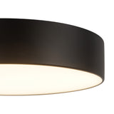 Musa Flush Mount — Flush Mount