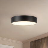Musa Flush Mount — Flush Mount
