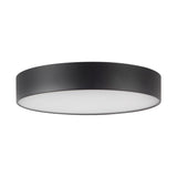 Musa Flush Mount — Flush Mount