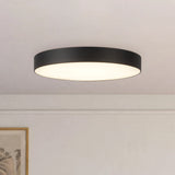 Musa Flush Mount — Flush Mount