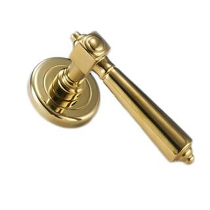 Nelson Brass Door Handle