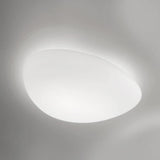 Neochic Wall / Ceiling Light