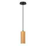 Neptune Pendant 8 Inch Gold by Eurofase