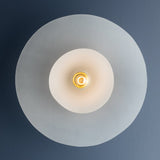 Netherlee Flush Mount By Hudson Valley - Down View