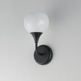 Neve Scone Wall Sconce Black by Maxim Lighting