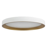 Nix Flush Mount — Flush Mount