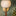 Niya Wall Sconce 1 Light By Mitzi Detailed View 1