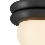 Noa Convertible Flush Mount - Black