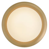 Noa Convertible Flush Mount - Lacquered Brass