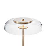 Nordic Gold/Clear Blossi Pendant Light by Nuura