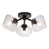 Novo Ceiling Mount Black Clear