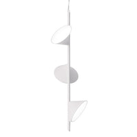 Orchid Suspension