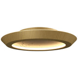 Organic Gold Petra Ceiling Light with Slate Accent by Accord