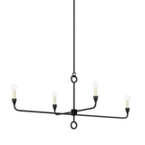 Orson Linear Suspension - Black Iron by Troy Lighting