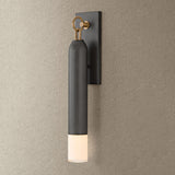 Osprey Wall Sconce by Troy Lighting