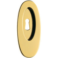 Oval Pocket Door Pull in Polished Brass by Colombo Design
