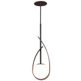Oyster Pendant Light by Accord