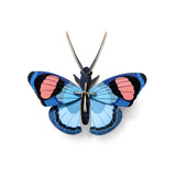 Peacock Butterfly Wall Art