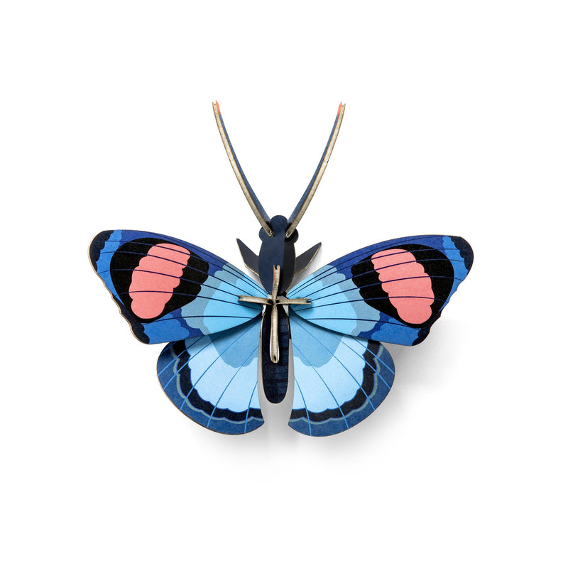 Peacock Butterfly Wall Art