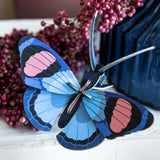 Peacock Butterfly Wall Art, styled in an interior