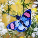 Peacock Butterfly Wall Art, styled in an interior