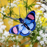 Peacock Butterfly Wall Art, styled in an interior