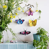 Peacock Butterfly Wall Art, styled in an interior