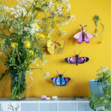 Peacock Butterfly Wall Art, styled in an interior