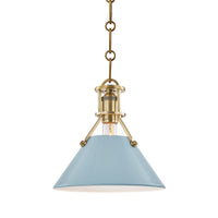 Painted No. 2 Pendant - 9.5 Inch - Aged Brass with Blue Bird by Hudson Valley