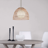 Palm Pendant Light By Renwil Lifestyle View