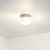 Ceiling Space Ceiling Flush Light lifestyle 1