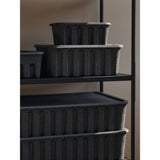 Paper Pulp Box lifestyle view 5