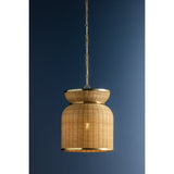 Parkchester Pendant by Hudson Valley