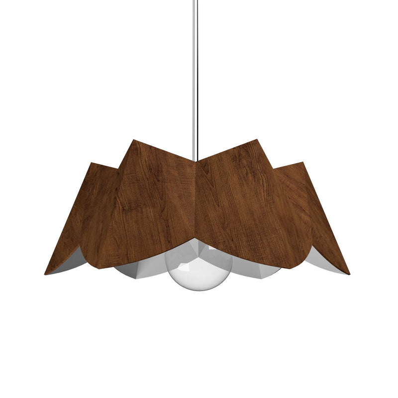 Physalis Pendant Imbuia by Accord