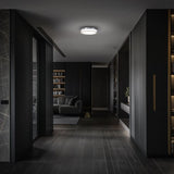 Pi Outdoor Wall / Ceiling Light