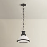 Pinesbridge Pendant by Hudson Valley