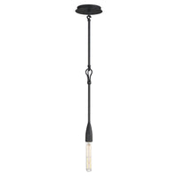 Pioneer Pendant by Maxim Lighting